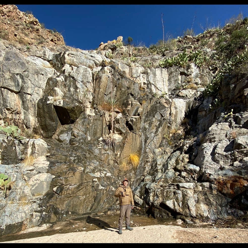 Meet your Posher, Devin